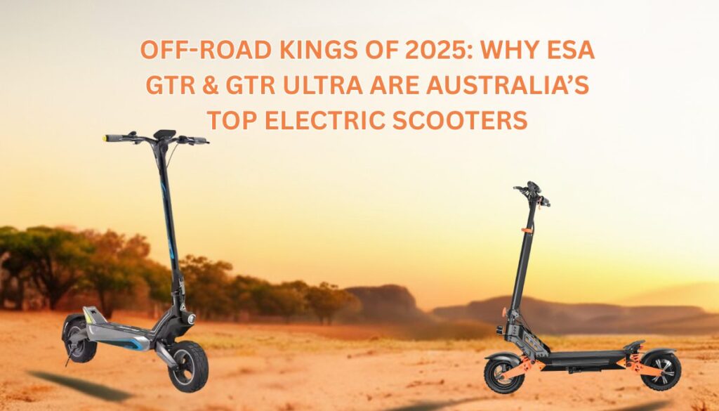 ELECTRIC SCOOTER (13)